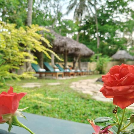 Marari Beach Bungalow Resort Alleppey Mararikulam Extérieur photo