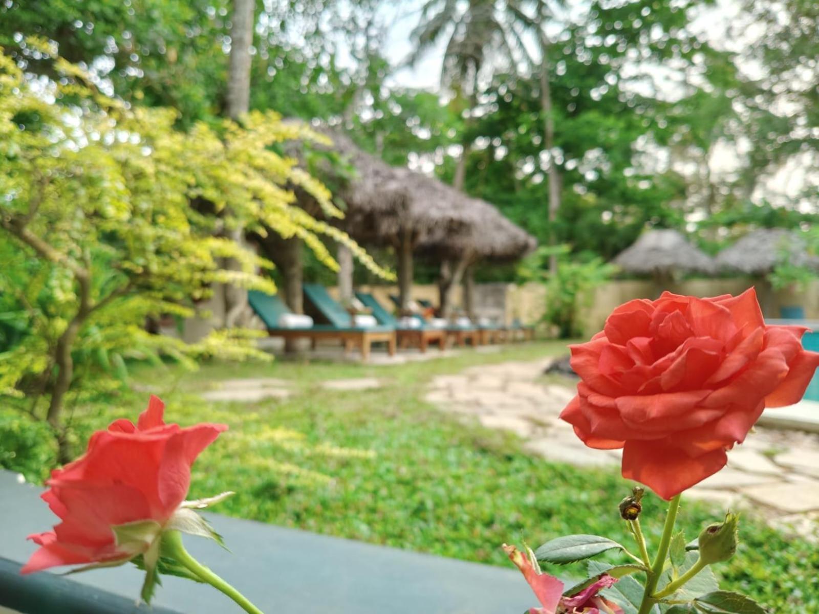 Marari Beach Bungalow Resort Alleppey Mararikulam Extérieur photo